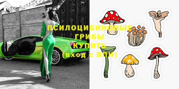 прущий лед Алексеевка